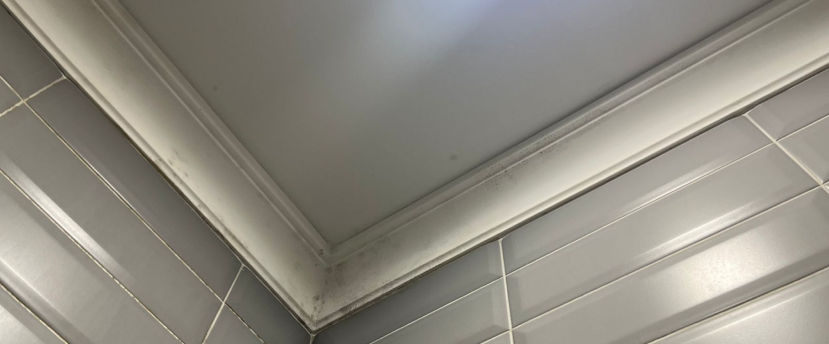 До обработки